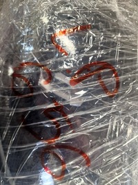 фото thumb №16, Porsche macan правый full led 95b lift правая лампа