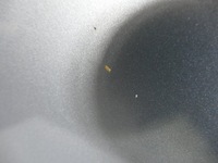 фото thumb №10, Mercedes e w212 капот крышка двигателя 792