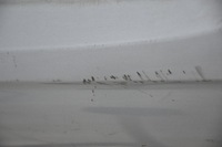 фото thumb №8, Бампер задній задня opel corsa d 3d