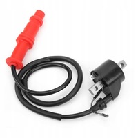 фото thumb №15, Atv катушка зажигания свеча зажигания 3085228