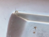 фото thumb №11, Vw polo 9n 02-06 бампер задняя передний тюнинг