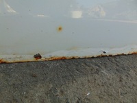 фото thumb №8, Дверь левая перед partner berlingo iii белый ewpa