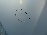 фото thumb №7, Капот крышка двигателя suzuki vitara ii 2005-