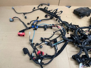 фото thumb №6, Kia ceed iii рестайлинг 21- 1.6 t-gdi жгут двигателя