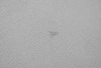 фото thumb №12, Бардачок пассажира eu volvo s40 v40 2 ii 08r