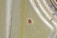 фото thumb №16, Кришка багажника багажника задня задня зелений 25613 chevrolet spark 05-10