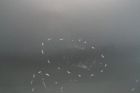 фото thumb №7, Двері правий перед chevrolet spark m300 iii