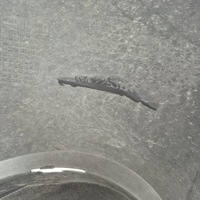 фото thumb №13, Renault kangoo ii 2 lift 13-21 бампер перед передний