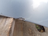 Капот крышка двигателя citroen c4 1 1 цвет eylc Цена, фото thumb