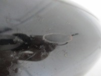 фото thumb №5, Зеркало citroen ds7 18r левая