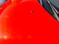 фото thumb №8, Renault clio iii капот крышка двигателя ov727