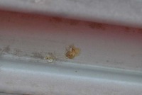 фото thumb №9, Балка бампера задняя задняя усилитель volvo v60 10-13