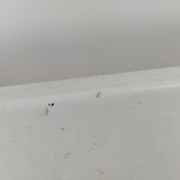 фото thumb №7, Volkswagen passat b7 2012 поріг