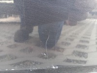 фото thumb №12, Дверь левый задняя seat leon ii чёрные lc9z