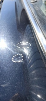 фото thumb №11, Кришка багажника задня mini r56 a25/9 astro black