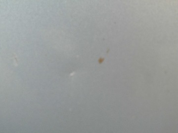 фото thumb №13, Двері vw tiguan 5n ліві передні сірий lr7l