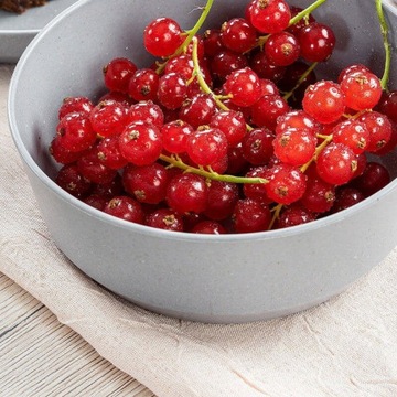 Детская миска Eco BPA без ПВХ, 2 шт. REER