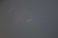 фото thumb №8, Капот крышка двигателя голубой volvo v70 2 ii 00-07