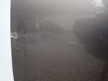 фото thumb №4, Дверь левая передние перед hyundai tucson 4 iv nx4e