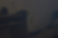 фото thumb №10, Капот крышка двигателя audi a4 b6 cabrio 2002r-