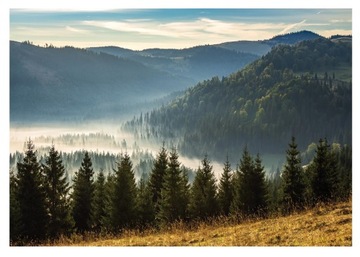 Fototapeta NA ŚCIANĘ Góry Drzewa Natura 254x184