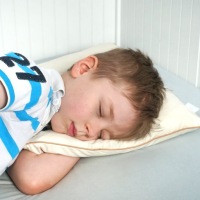 PUSH PILLOW 100% BAW. POLDAUN 40x40 см