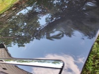 фото thumb №6, Дверь левый задняя audi a8 d3