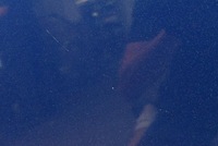 фото thumb №5, Капот крышка двигателя granatowa renault kangoo 2 ii 07-13