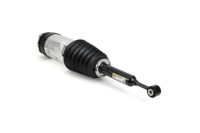 фото thumb №2, Arnott модуль воздушный задняя tesla model x electric 09.15-