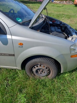 фото thumb №10, Двері праві передні daewoo kalos 2004 sedan