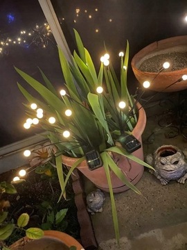 2x светодиодные шарики на солнечных батареях Firefly Swing