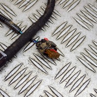 фото thumb №5, Tesla model 3 2021 левая сторона жгут трубопровод дверь задних