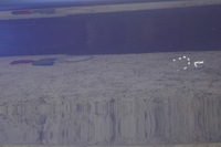 фото thumb №9, Дверь левый перед bmw 1 e87 381/5