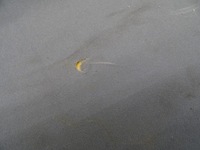 фото thumb №16, Toyota supra 1987-92 mk3 oem targa top дах жорсткий