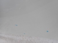 Nissan qashqai 2 2 13-17 капот крышка двигателя Оригинал, фото thumb