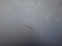 фото thumb №5, Двері ліва лівий задня задні bmw e60 titansilber