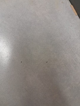 фото thumb №9, Pas безпеки правий зад touran i fl 1.9 tdi