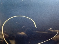 Капот audi a3 8p хетчбек 03-13 moon white кришка передня, двигуна Ціна, фото thumb