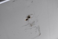 фото thumb №10, Крышка багажника багажника задняя задняя серебристая kia cerato 1 i sedan 04-06