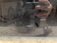 фото thumb №8, Двері передні правий перед mercedes e-klasa w213