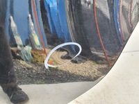 фото thumb №7, Alfa romeo giulietta двері лівий задня задні