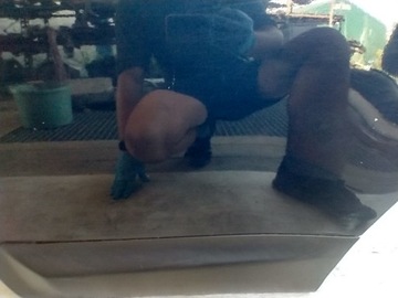 фото thumb №13, Nissan qashqai i j10 двері лівий зад ліві задні комплектні