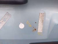 фото thumb №6, 68. крышка багажника багажника задняя renault kangoo ii ternp