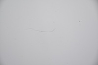 фото thumb №3, Капот крышка двигателя opel insignia a