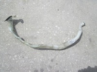 Купити Bmw f01 f02 трубка заливної заливна горловина рідина do омивача, фото thumb