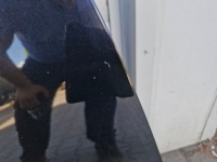 Nissan juke f15 дорестайлинг  капот крышка двигателя перед z11g z11 g Доставка, фото thumb