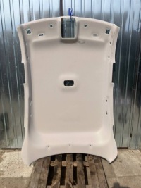 Купить Потолок renault arkana 739116721r, фото thumb