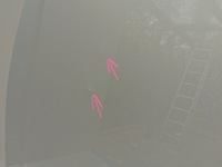 фото thumb №7, Skoda octavia iv 4 5e 20 - капот передня кришка двигуна =