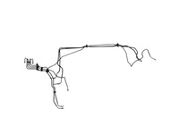 фото thumb №6, Subaru outback bt 2024 комплект шланг / wąż трубка тормозной