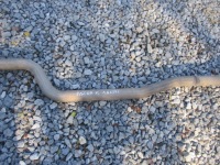 Гасник труба вихлопна opel astra k 5 v 1.6 cdti Оригінал, фото thumb